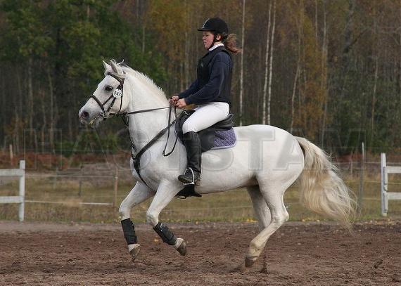 Profilbild