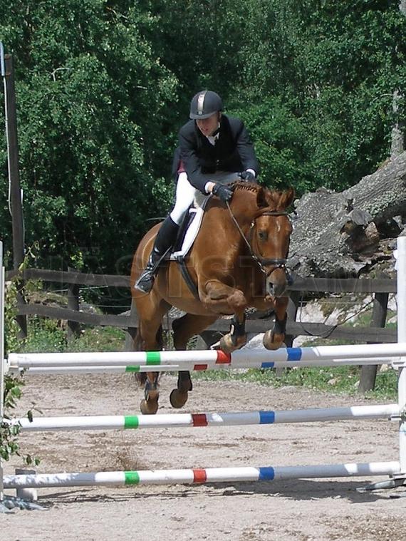 Profilbild