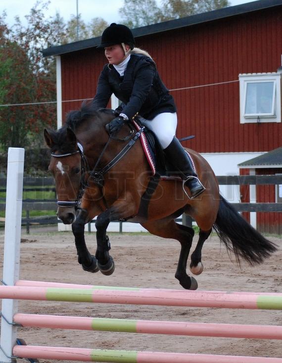 Profilbild