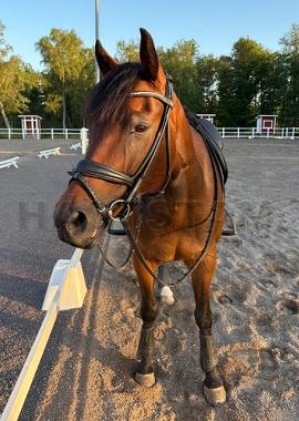 Profilbild