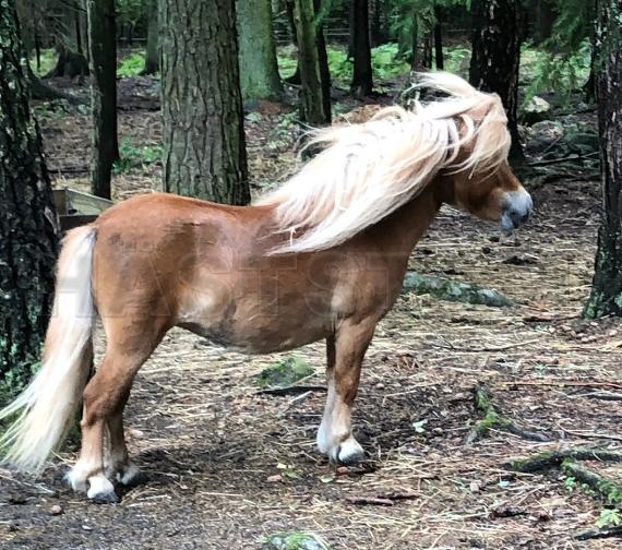 Profilbild