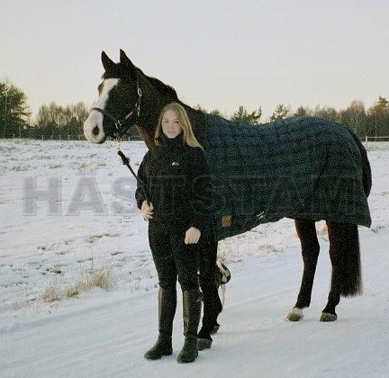 Profilbild