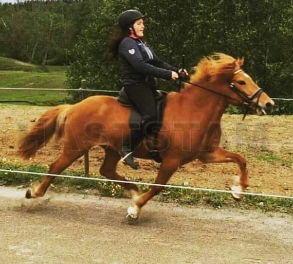 Profilbild