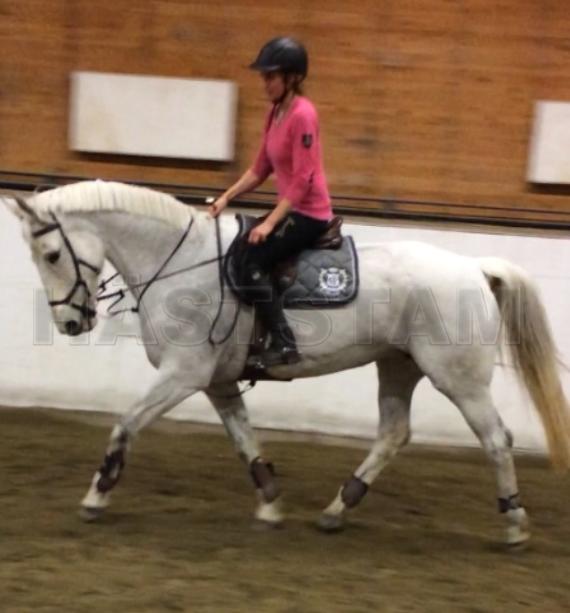 Profilbild