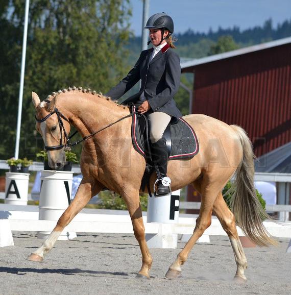 Profilbild