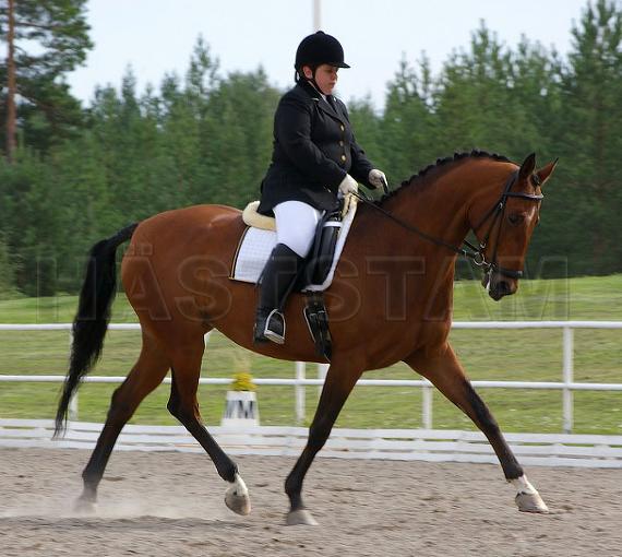 Profilbild