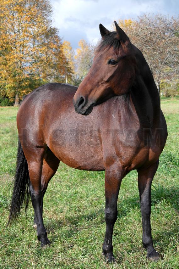 Profilbild