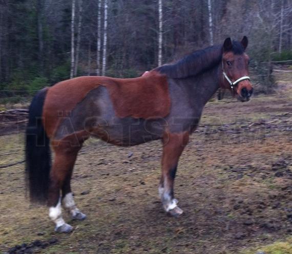 Profilbild
