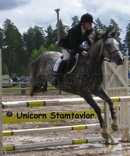 Profilbild