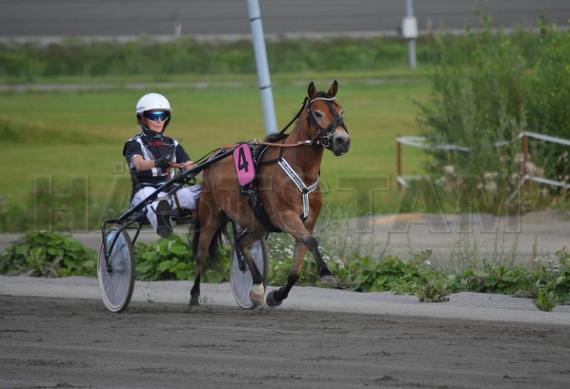 Profilbild