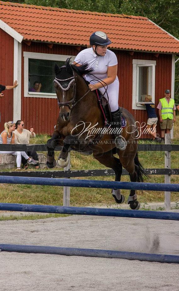 Profilbild