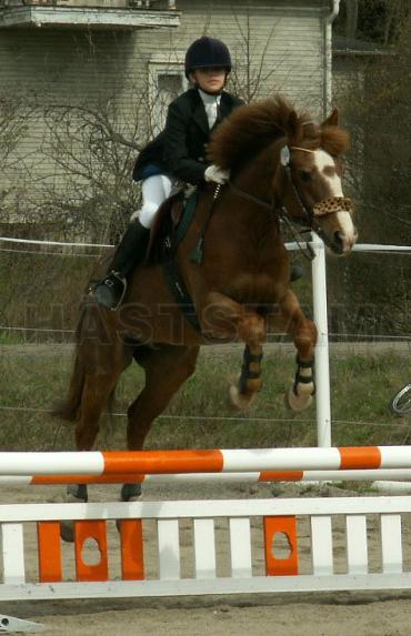 Profilbild