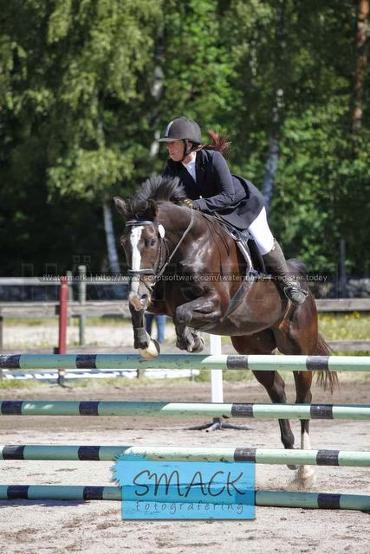 Profilbild