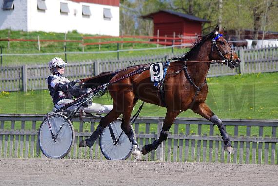 Profilbild