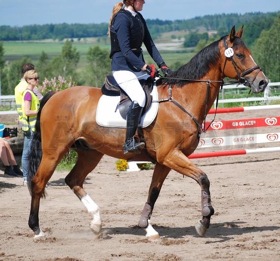 Profilbild