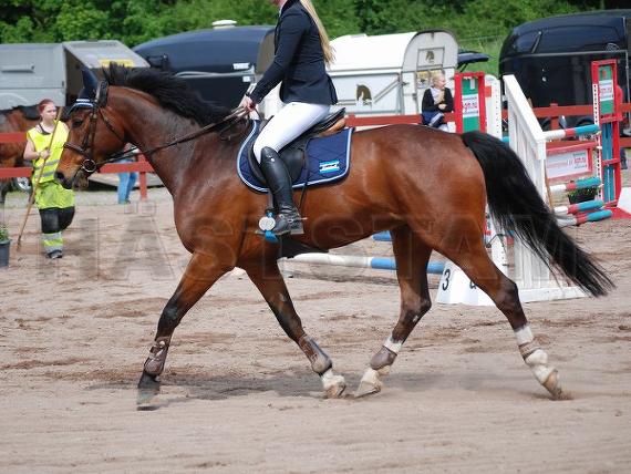Profilbild