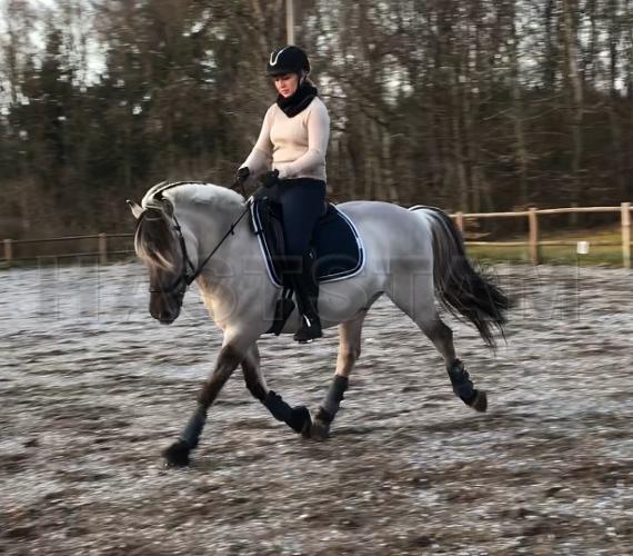 Profilbild