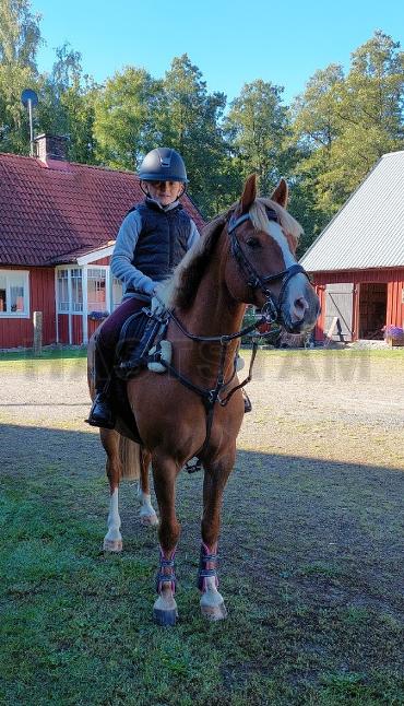 Profilbild