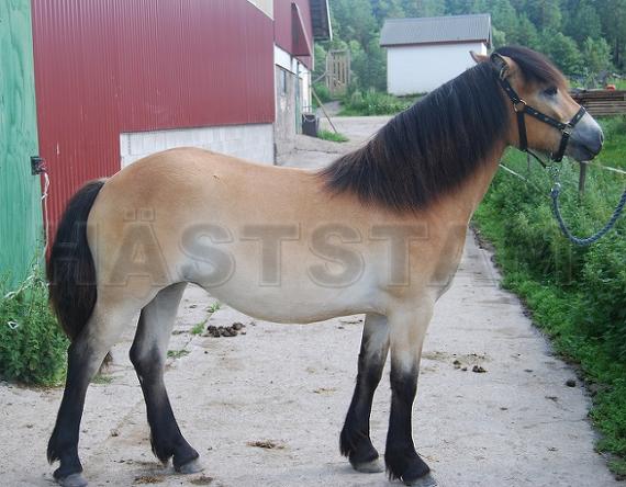 Profilbild