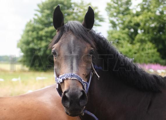 Profilbild
