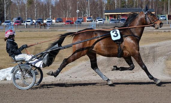 Profilbild