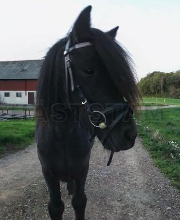 Profilbild