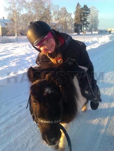 Profilbild