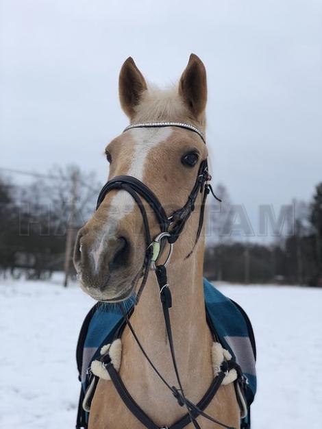 Profilbild