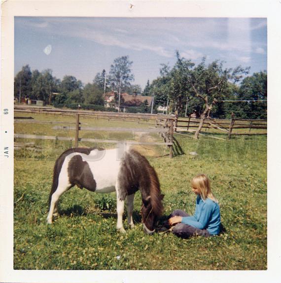 Profilbild