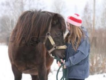 Profilbild