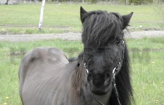 Profilbild