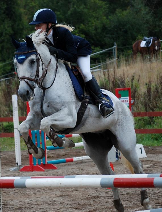 Profilbild