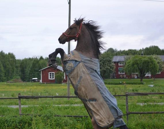 Profilbild