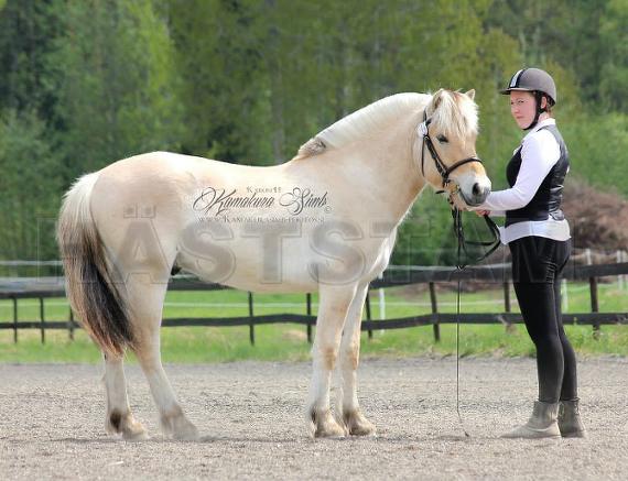 Profilbild