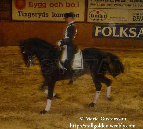 Profilbild