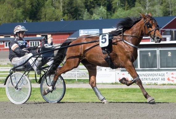 Profilbild
