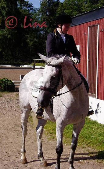 Profilbild