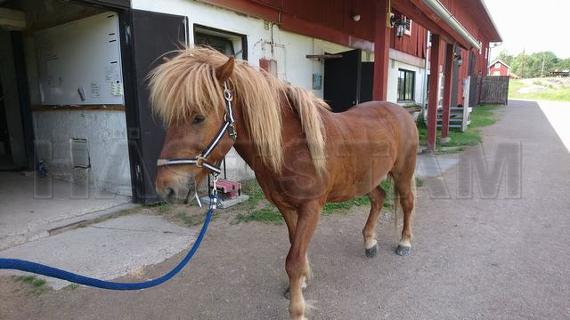 Profilbild