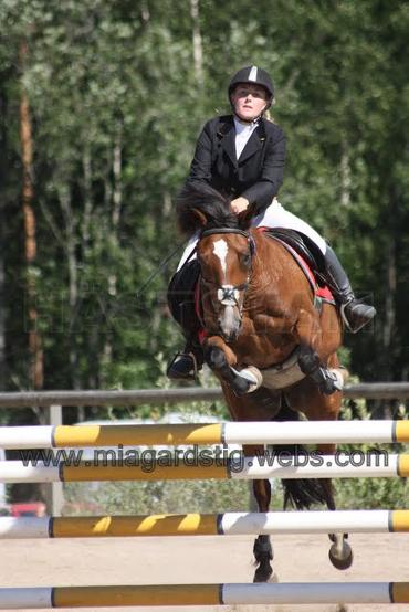 Profilbild
