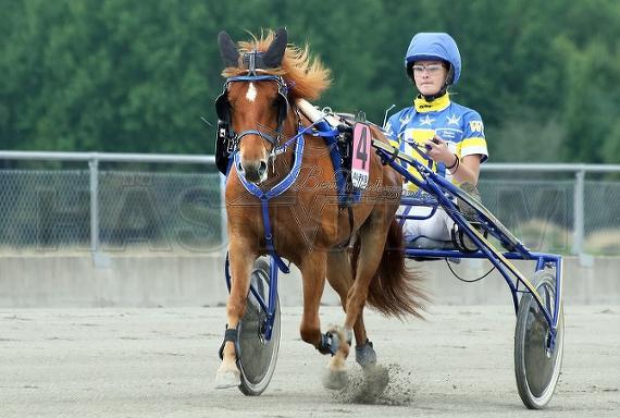 Profilbild