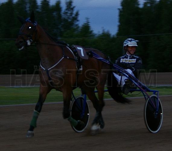 Profilbild