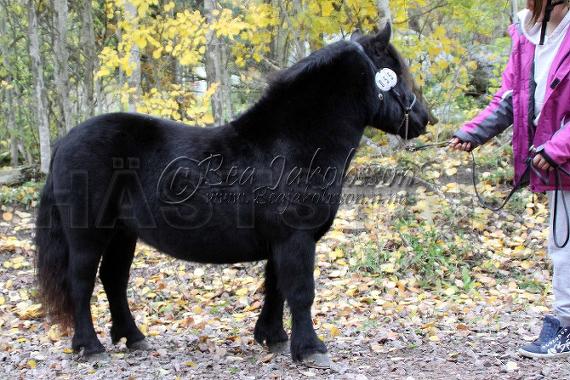 Profilbild