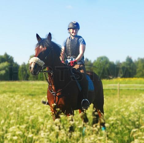 Profilbild
