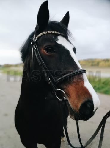 Profilbild