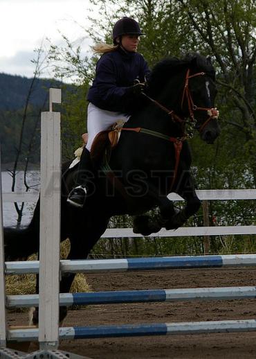 Profilbild