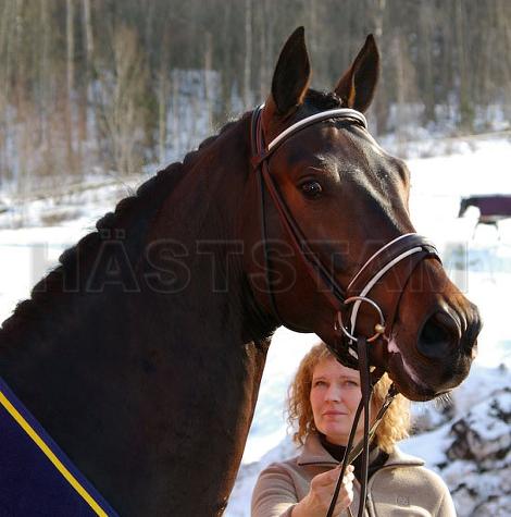 Profilbild