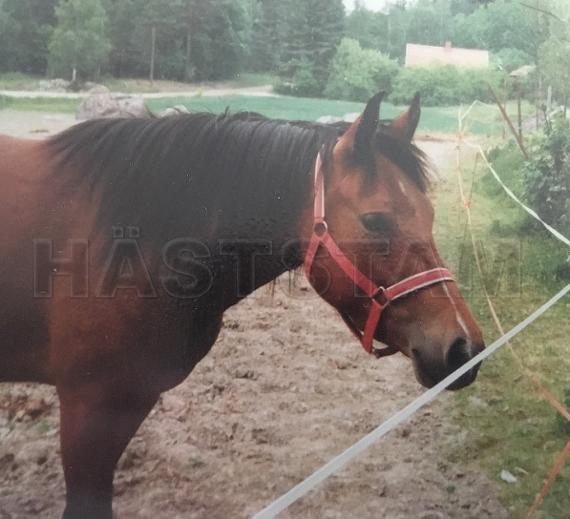 Profilbild