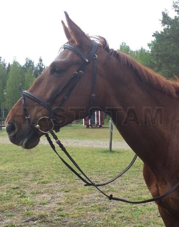 Profilbild
