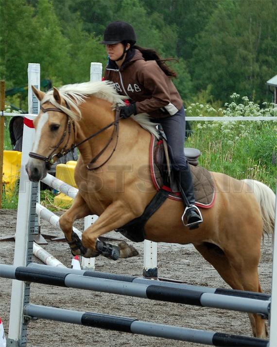 Profilbild