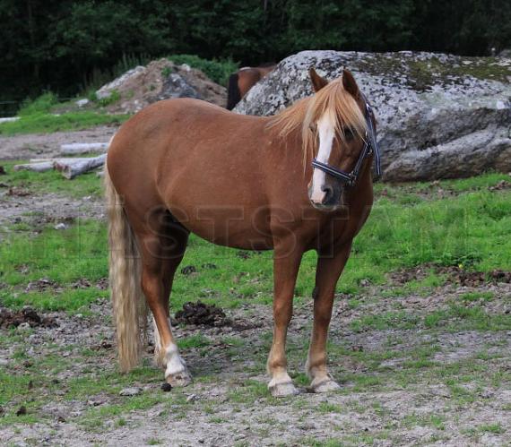Profilbild